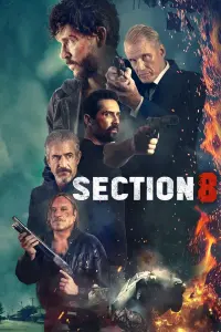 film cover