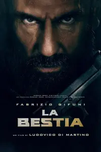 film cover