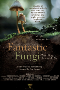 film cover