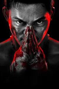 film cover