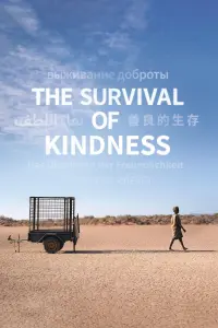 film cover