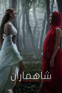 film cover
