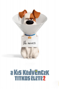 film cover