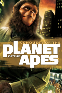 film cover