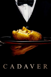 film cover