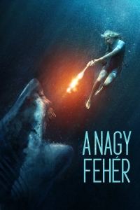 film cover
