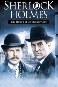 film cover