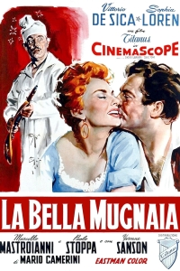film cover