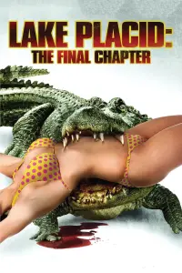 film cover