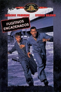 film cover