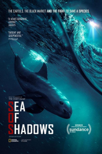 film cover