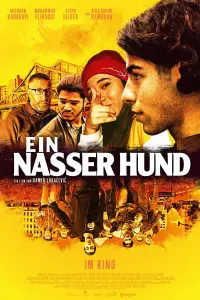 film cover