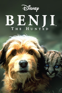 film cover