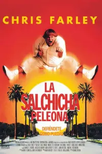 film cover