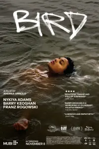 film cover