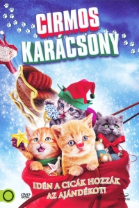 film cover