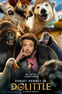 film cover