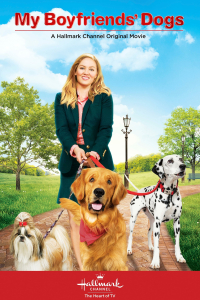 film cover
