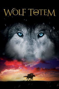 film cover