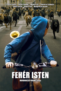 film cover