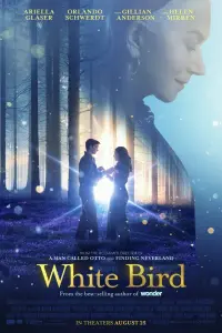 film cover