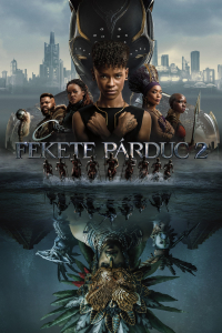 film cover