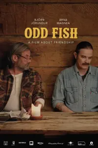 film cover