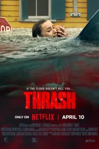 film cover