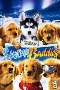 film cover