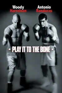 film cover