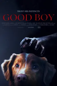 film cover