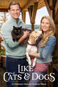 film cover