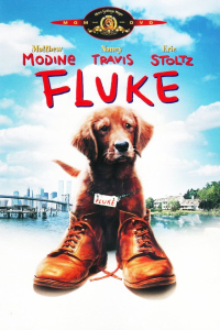 film cover