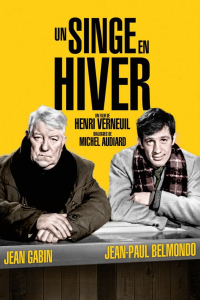 film cover