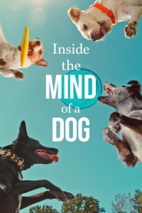 film cover