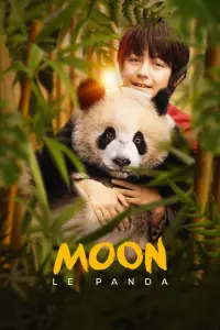 film cover