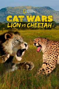 film cover