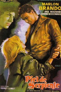 film cover