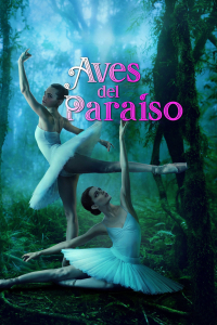 film cover