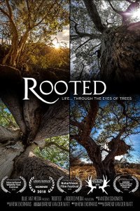film cover