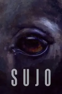 film cover