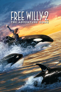 film cover