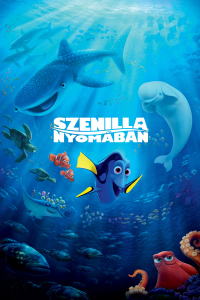 film cover