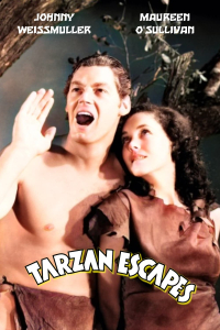 film cover