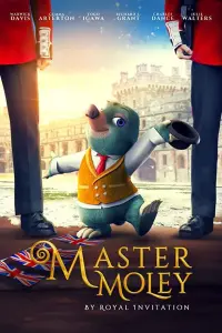 film cover