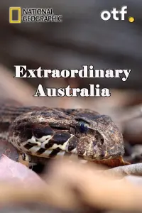 film cover