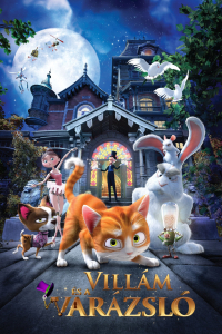 film cover